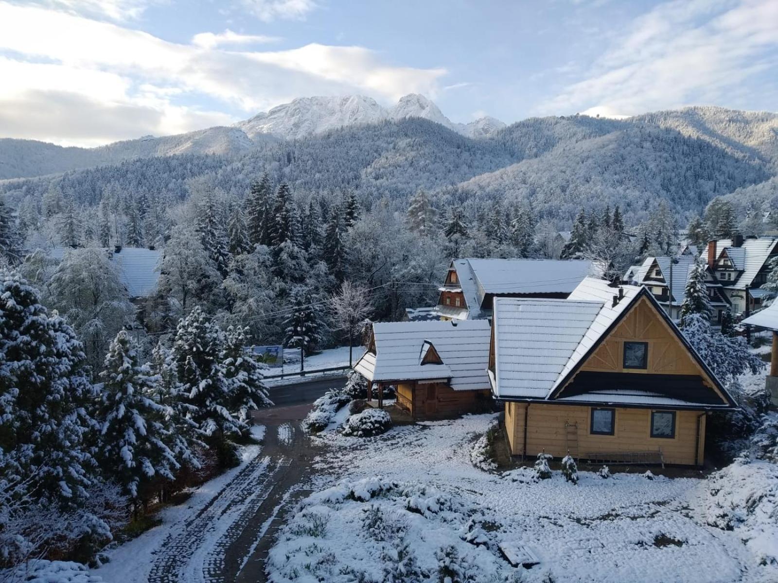 Willa Tatry U Tatara Zakopane Zewnętrze zdjęcie
